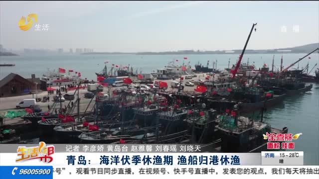 青岛：海洋伏季休渔期 渔船归港休渔