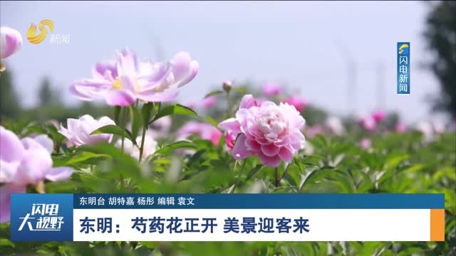 探寻东明县鲜花店的美好角落