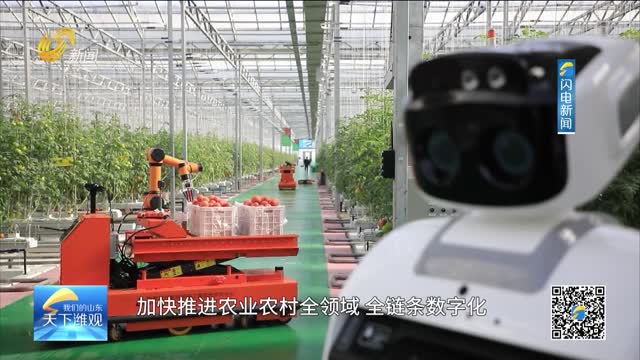  [Creating a Model for Rural Revitalization in Qilu · Weifang Undertaking] Weifang: Draw a New Blueprint for Digital Agriculture, Accelerate the Cultivation of New Quality Productivity