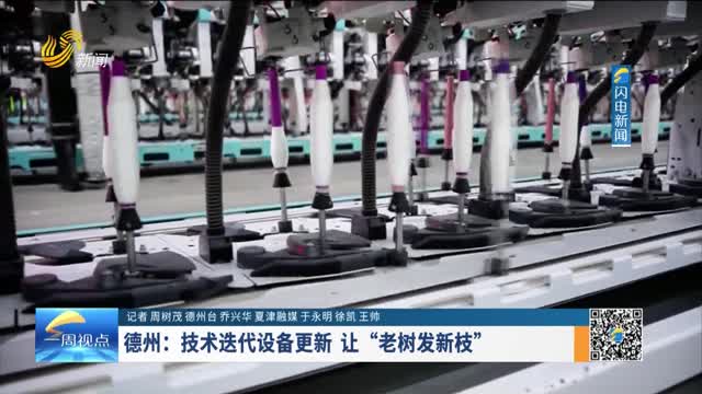 德州：技术迭代设备更新 让“老树发新枝”