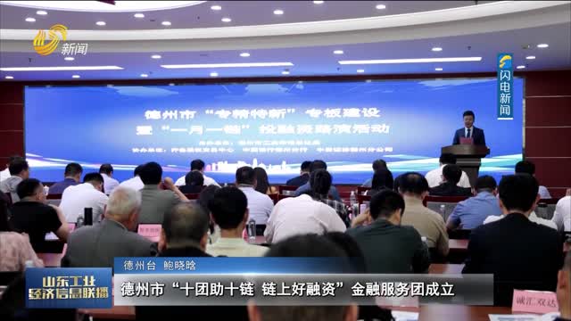  Dezhou "ten groups help ten chain good financing" financial service group was established