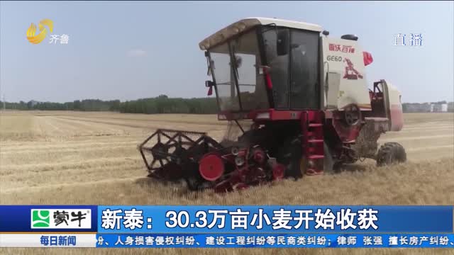 新泰：30.3万亩小麦开始收获