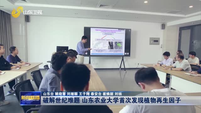  Solving the Century Problem Shandong Agricultural University First Discovered Plant Regeneration Factors
