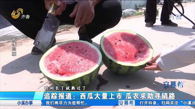  Follow up report: Watermelon's unsalable stream commissioner helps find a market