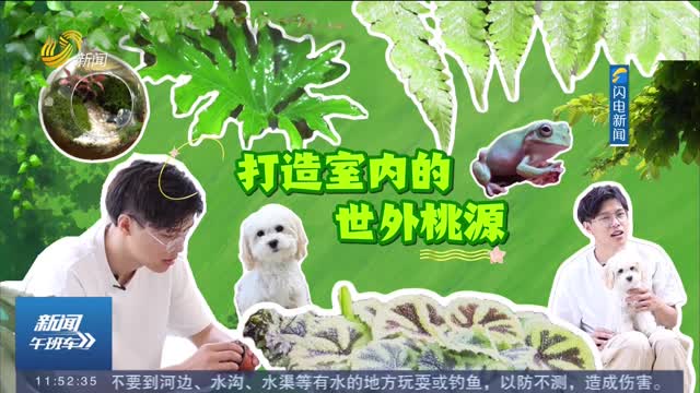 【新青年 新職業(yè)】室內造景師：用巧手和匠心打造獨屬于你的“世外桃源”