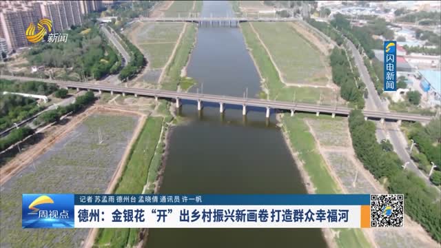 德州：金银花“开”出乡村振兴新画卷 打造群众幸福河