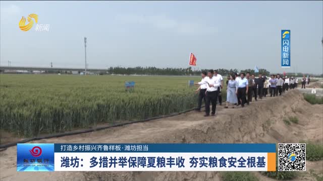  [Creating a Model for Rural Revitalization in Qilu · Weifang Undertaking] Weifang: Take Multiple Measures to Guarantee the Harvest of Summer Grain and Consolidate the Foundation of Food Security