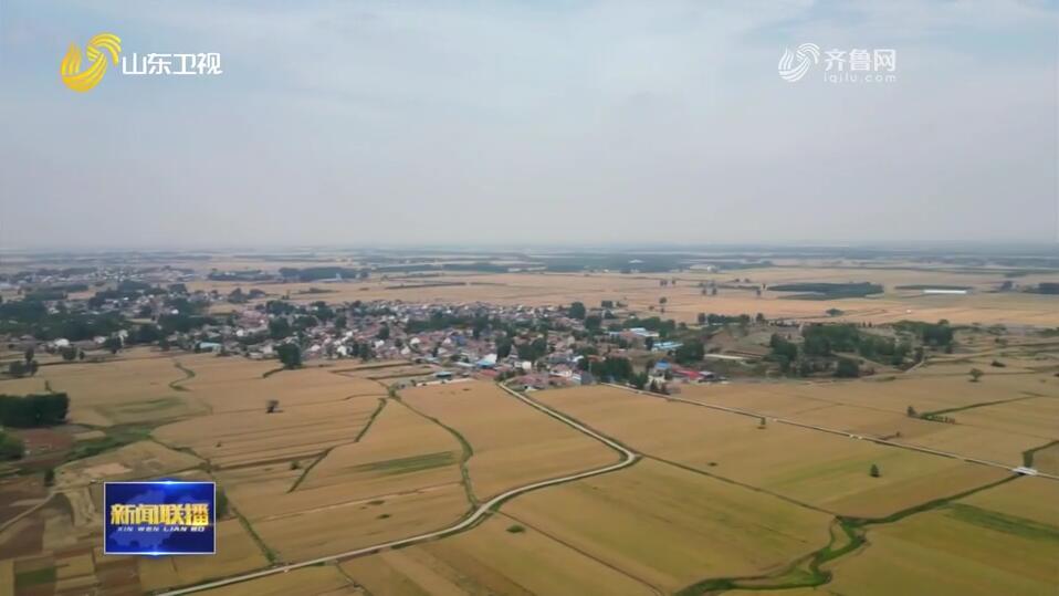 扛牢粮食大省责任 建设更高水平的“齐鲁粮仓”【牢记嘱托 走在前 挑大梁 奋力谱写中国式现代化山东篇章】