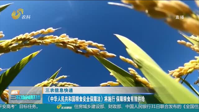  [Three Rural Information Express] The Law of the People's Republic of China on Food Security will be implemented to ensure effective food supply