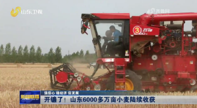 中国人6000多万亩小麦陆续收获【强信心 稳经济 促发展】