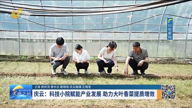 庆云：科技小院赋能产业发展 助力大叶香菜提质增效