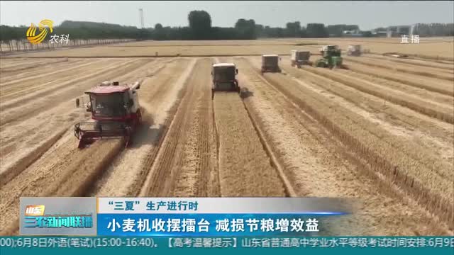 【“三夏”生产进行时】小麦机收摆擂台 减损节粮增效益