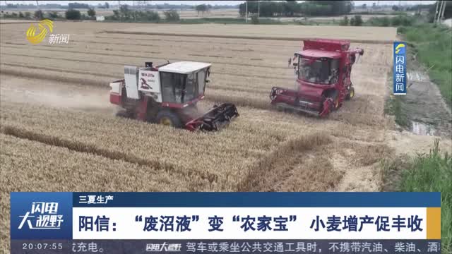 【三夏生产】阳信：“废沼液”变“农家宝” 小麦增产促丰收