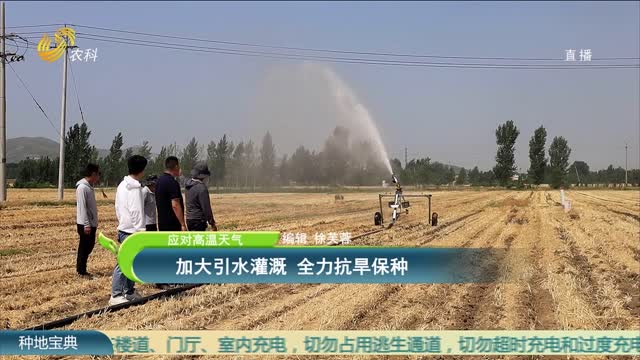 【应对高温天气】加大引水灌溉 全力抗旱保种