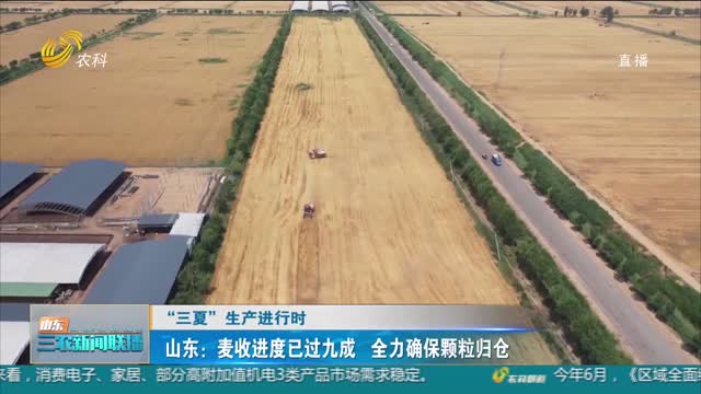 【“三夏”生产进行时】山东：麦收进度已过九成 全力确保颗粒归仓