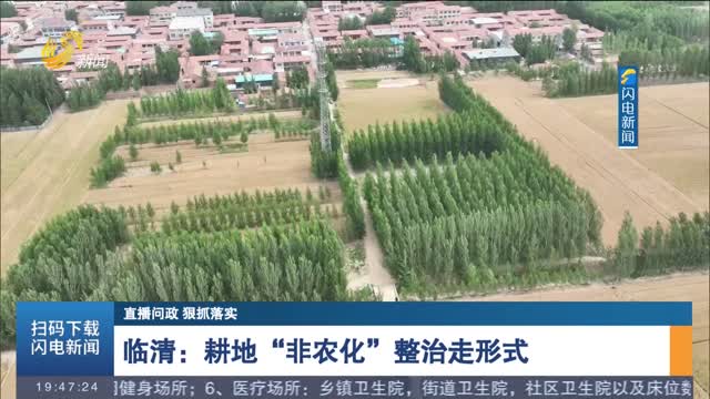  [Live broadcast of political questions and strict implementation] Linqing: Cultivated land "non-agricultural" renovation takes form
