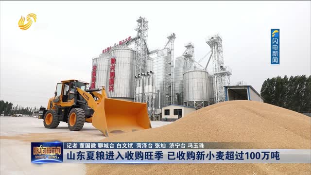 山东夏粮进入收购旺季 已收购新小麦超过100万吨