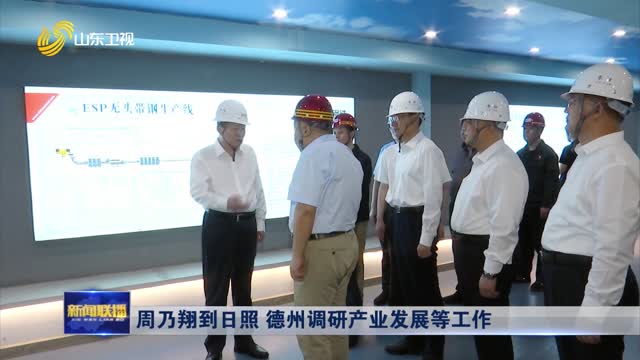  Zhou Naixiang went to Rizhao Dezhou to investigate industrial development and other work