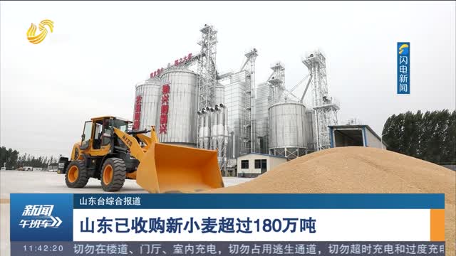 山东已收购新小麦超过180万吨