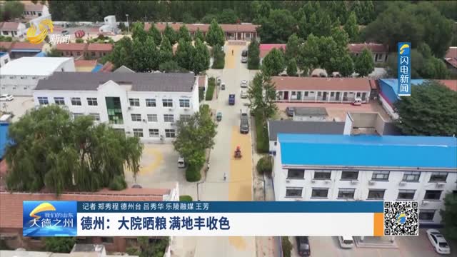 德州：大院晒粮 满地丰收色