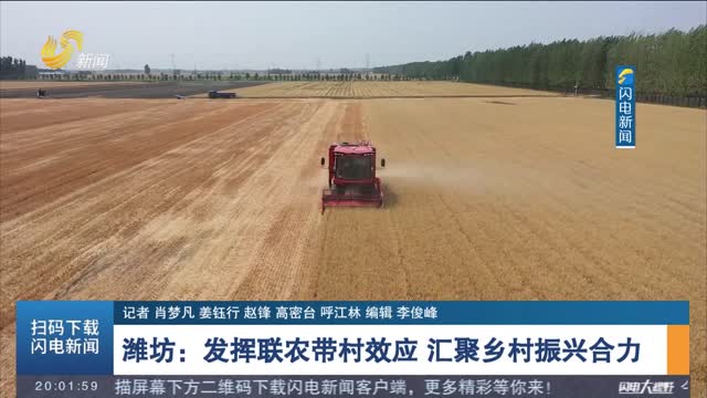  [Creating a Model for Rural Revitalization in Qilu] Weifang: Exert the Effect of Linking Agriculture with Villages to Gather the Joint Forces of Rural Revitalization
