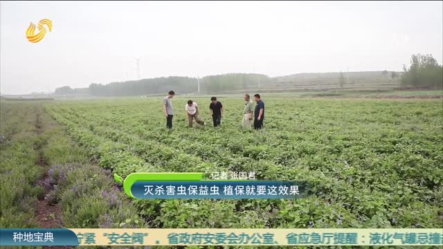 灭杀害虫保益虫 植保就要这效果