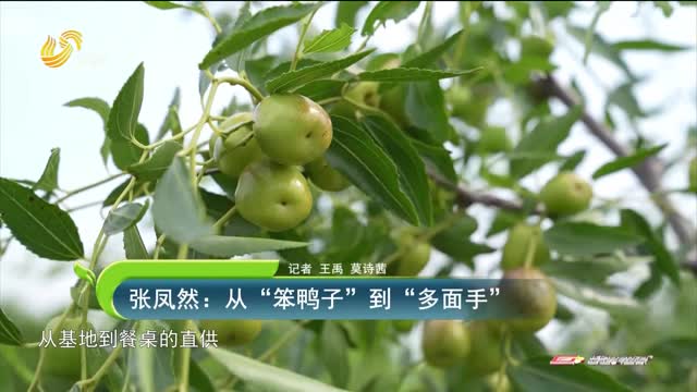 張鳳然：從“笨鴨子”到“多面手”