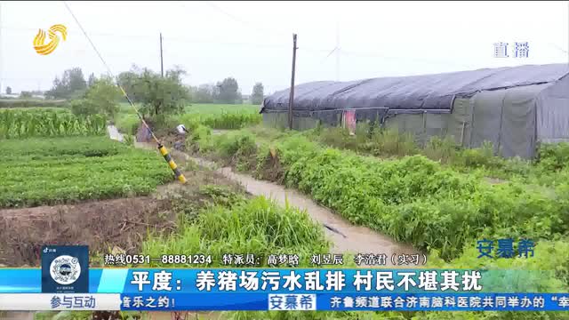 平度：養豬場污水亂排 村民不堪其擾