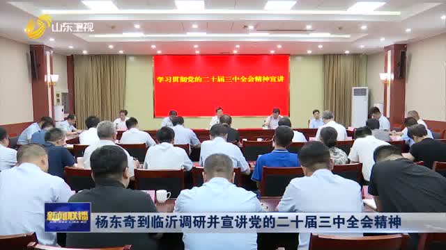 杨东奇到临沂调研并宣讲党的二十届三中全会精神