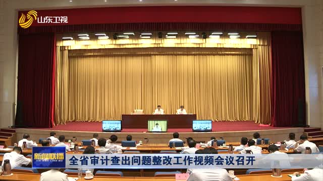 全省審計查出問題整改工作視頻會議召開