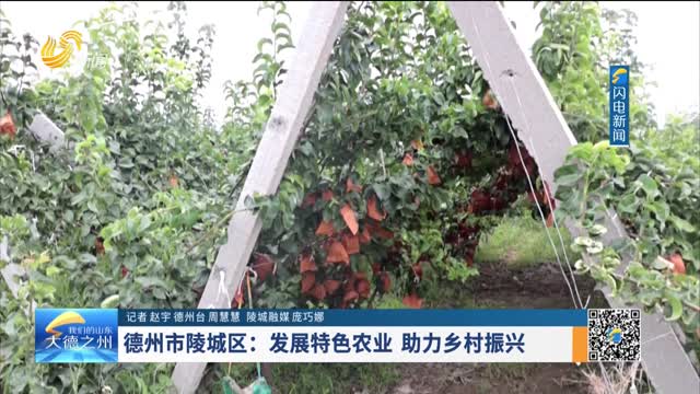 德州市陵城区：发展特色农业 助力乡村振兴