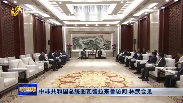 中非共和国总统图瓦德拉来鲁访问 林武会见