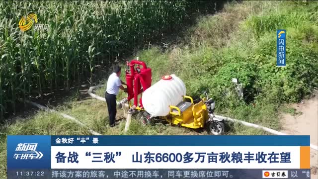 【金秋好“豐”景】備戰“三秋” 山東6600多萬畝秋糧豐收在望