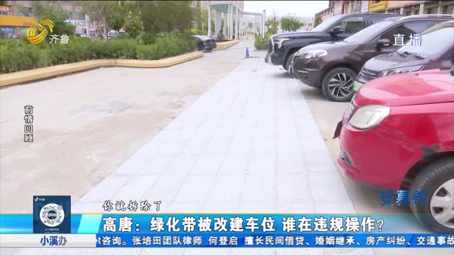 追蹤報道！綠化帶私改車位 責令限期整改拒不執行