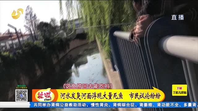 济南：河水发臭有死鱼 污染源头是哪里？