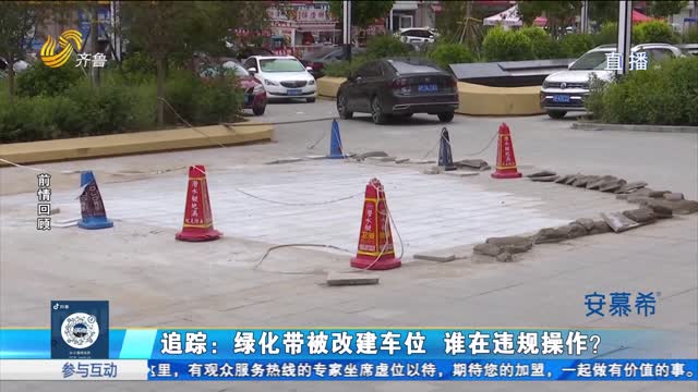 追蹤！綠化帶被改建車位 為何遲遲未恢復(fù)原貌？