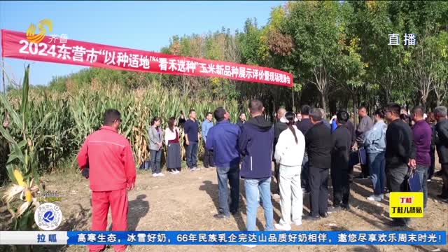 东营：“以种适地+以地适种” 盐碱地产出“高效益”