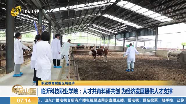 【職業教育賦能區域經濟】臨沂科技職業學院：人才共育科研共創 為經濟發展提供人才支撐