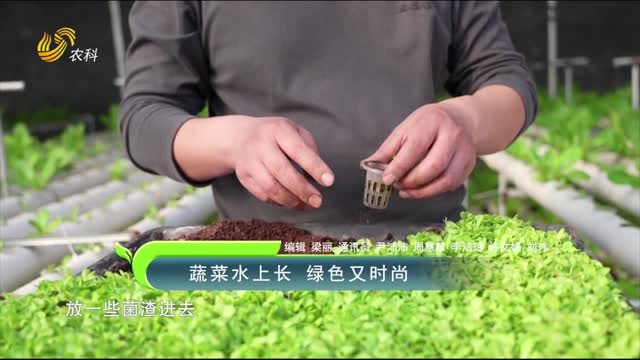 蔬菜水上長 綠色又時尚