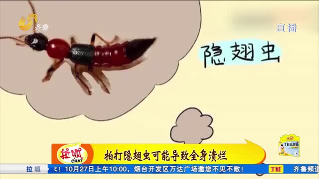 拍打隱翅蟲可導致身體潰爛？