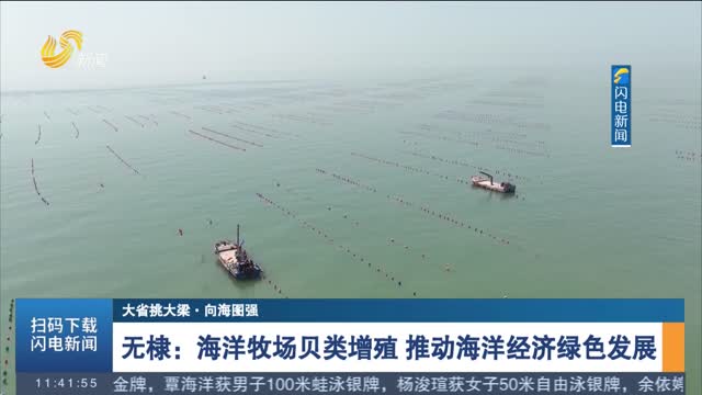 【大省挑大梁·向海圖強】無棣：海洋牧場貝類增殖 推動海洋經濟綠色發展