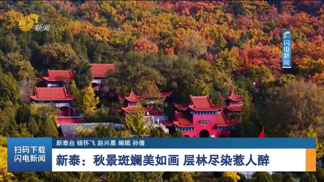 新泰：秋景斑斕美如畫 層林盡染惹人醉