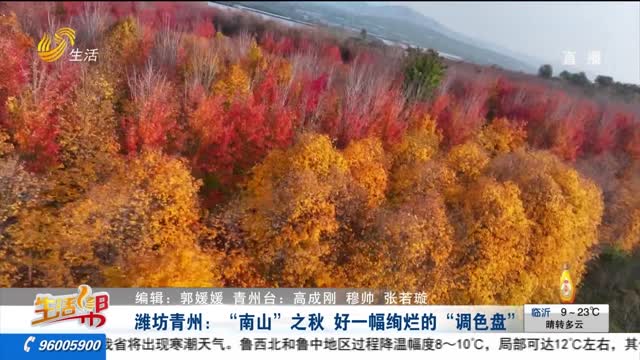 濰坊青州：“南山”之秋 好一幅絢爛的“調色盤”