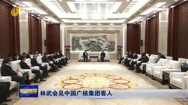 林武会见中国广核集团客人