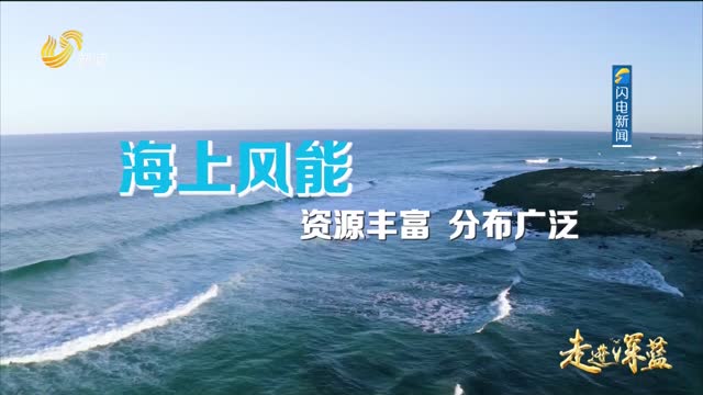 20241123《走进深蓝》：山东能源——向海“揽”风 打造“双碳经济”增长极