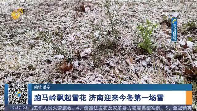 跑马岭飘起雪花 济南迎来今冬第一场雪