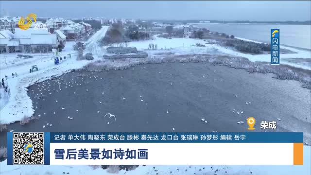 雪后美景如诗如画