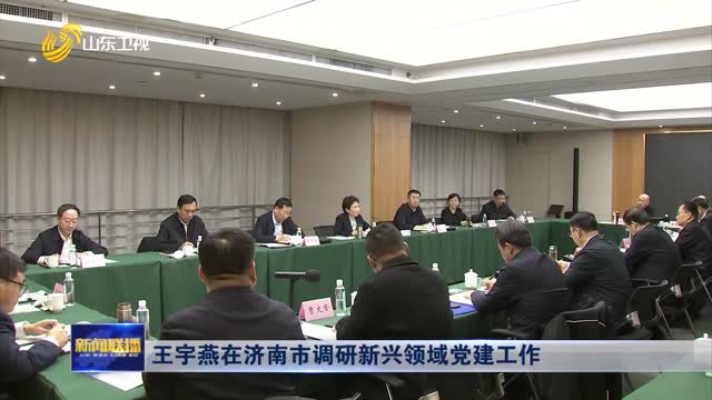 王宇燕在濟南市調研新興領域黨建工作