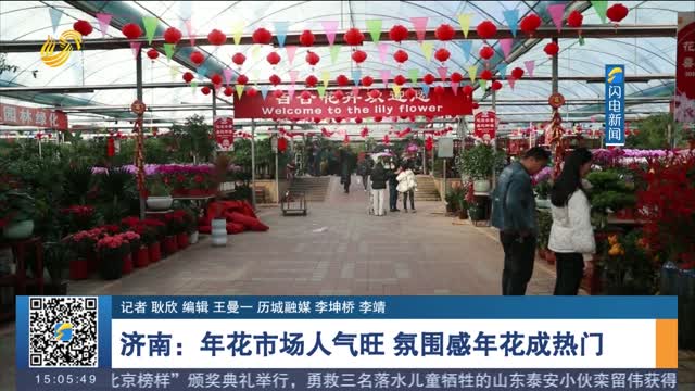 【新年新气象 市场热年味浓】济南：年花市场人气旺 氛围感年花成热门