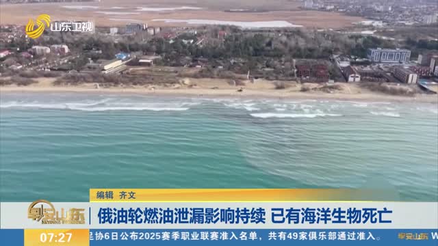 俄油轮燃油泄漏影响持续 已有海洋生物死亡